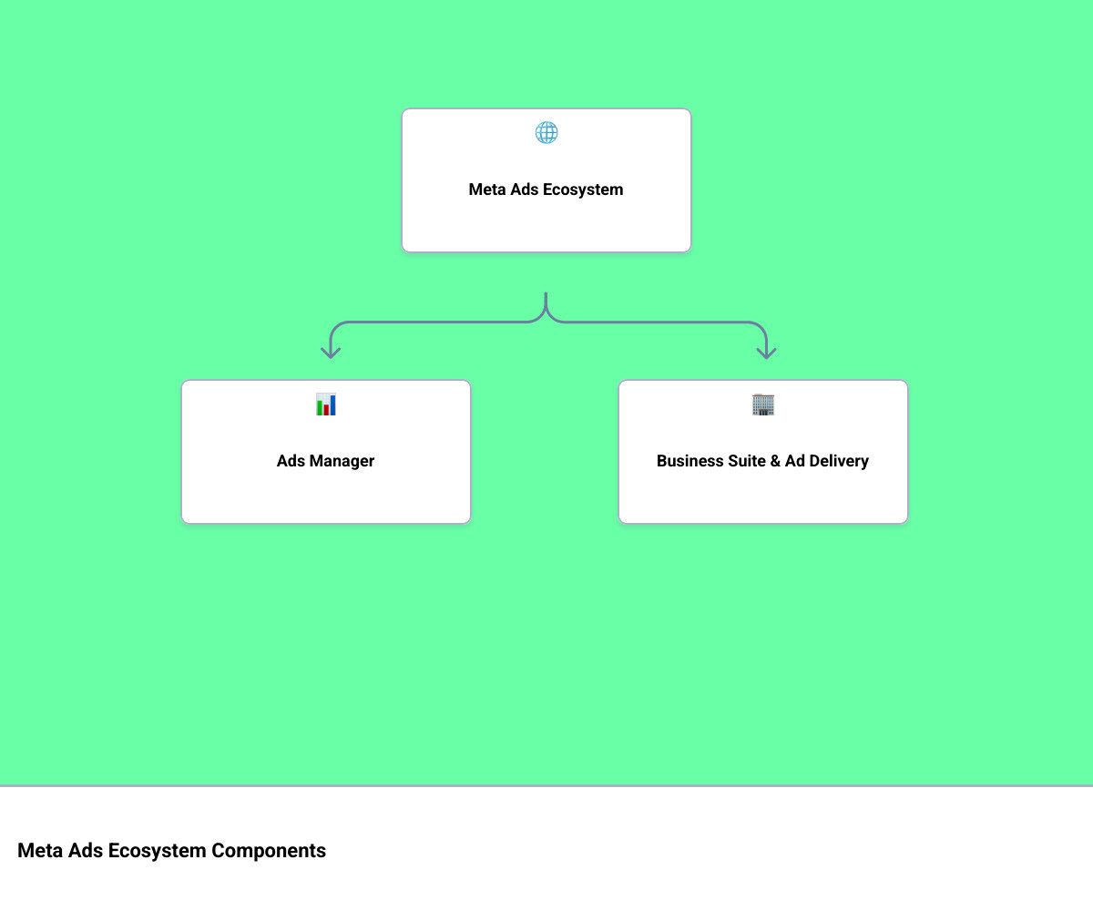 Meta Ads Ecosystem - facebook ads manager down infographic hierarchy