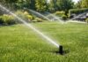 Solving Common Irrigation Problems: A Guide to Efficient Lawn and Garden Care