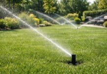 Solving Common Irrigation Problems: A Guide to Efficient Lawn and Garden Care